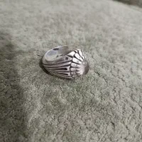 رکاب شیخ احمد دو اشک سوار در نجف