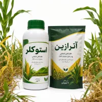 استوکلر + آترازین . علف‌کش ذرت . کنترل علف‌های هرز