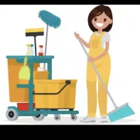 نیرو کار خانم در منزل
