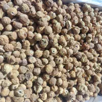 انجیر گوشتی اعلا سایزAA عمده