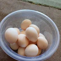 تخم مرغ کردی اصل.