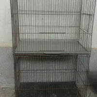 قفس پرنده