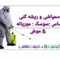 سمپاشی ساس سوسک موش سم پاشی موریانه