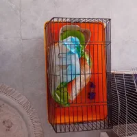 قفس گربه و خرگوش و... با لوازم