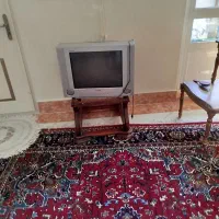 تلوزون سالم