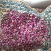 گل محمدی خشک شده تازه
