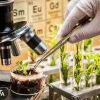 استخدام فوق لیسانس گیاهپزشکی دارای رتبه بندی