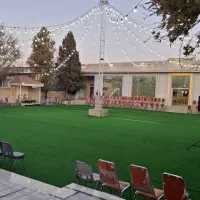 چمن آسیا|خدمات باغبانی و درختکاری|شیراز, دوکوهک|دیوار