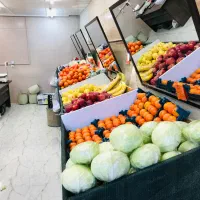 اسنتخدام کاریابی