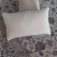 بالشت پر