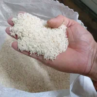 برنج هاشمی