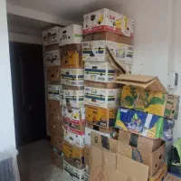 فروش کارتن موزی