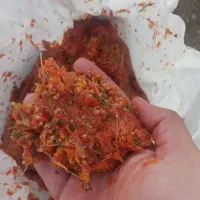 تفاله گوجه خوراک دام