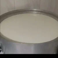 شیر گاو