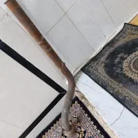 گلوهه اگزوز پژو