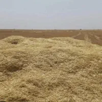 فروش کاه