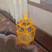 قفس عروس هلندی سلطنتی