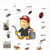 سم پاشی حشرات سمپاشی ارگانیک اصلی اطراف شهر