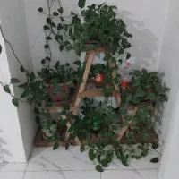 ۲ میلیون