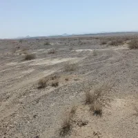 فروش فوری زمین ۲ هکتاری برق‌دار چشمه زیارت زاهدان