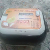 دسگاه جوجه کشی