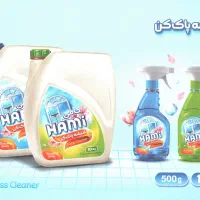 شیشه پاک کن 500 گرمی