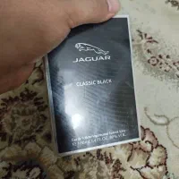 ادلکن جگوار
