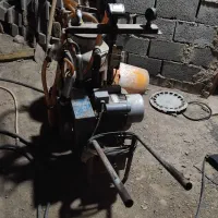 شیردوش گاو سالم