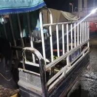 باربری سچرخه