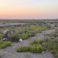 زمین‌برای‌سرمایه‌گزاری