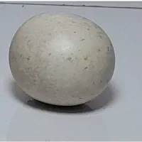 کارشناسی و خریدارسنگ الماس آسیاب و سنگ درمانی