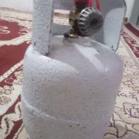 پرژکتور و پیکنیک