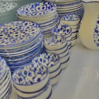 فروش ظروف چینی