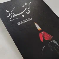 کتاب کشتی پهلو گرفته