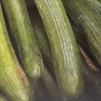 خیار بسطام