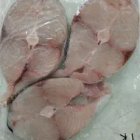 ماهی تازه صید روز
