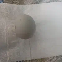 سنگ الماس آسیاب