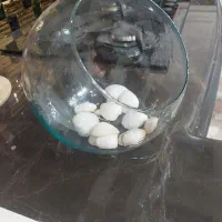 تنگ ایرانی
