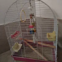 قفس پرنده