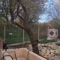 باغ-برج-داروفنس-دار-املاک-سیدذاکر