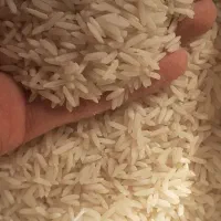برنج هاشمی مروارید.برنج کشت دوم.برنج هاشمی معطر