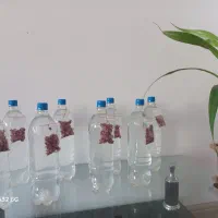 عرقیات و گلاب و شربت