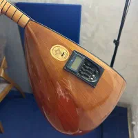 باغلاما (دیوان) مجلسی