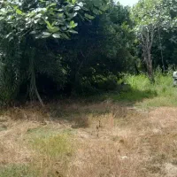 فروش زمین 290متری در کوچه مسافری