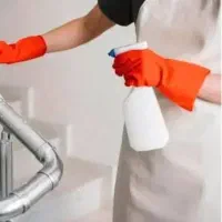 خدمات نظافتی پرنسا