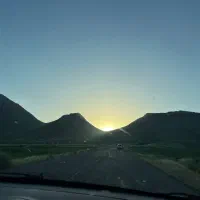زمین-سند-تک-برگ