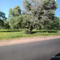 فروش-خانه-کلنگی-و-قابل-سکونت