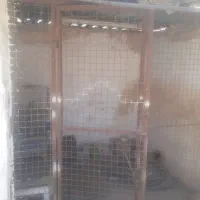 سه عدد درگنجه کبوترسالم