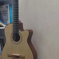 گیتار کلاسیک هافنر