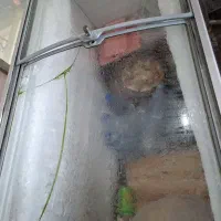 یخچال نوشابه و یخچال بستنی